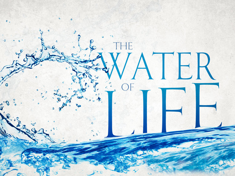 Water of Life News